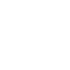 n1